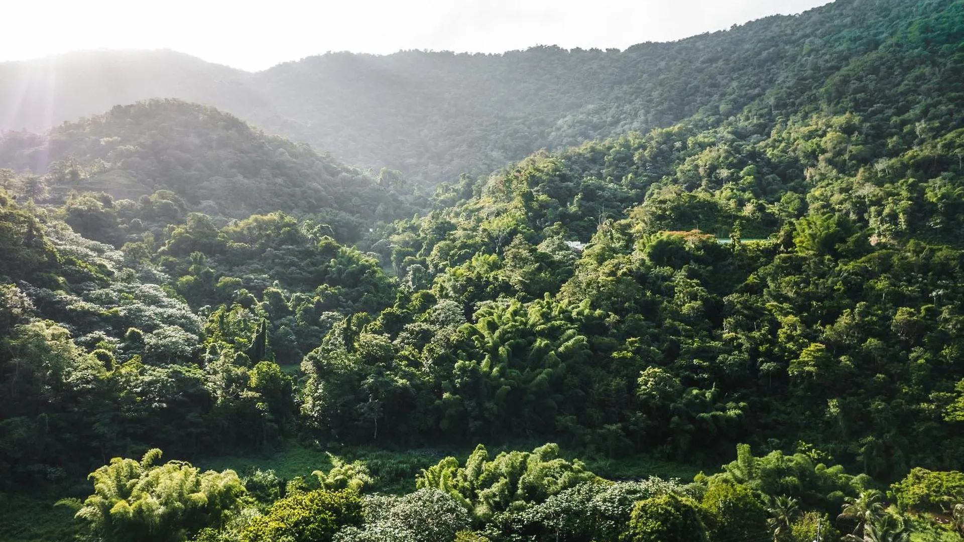 Casa Grande Mountain Retreat - Adults Only Hotel Utuado